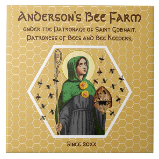 バリーヴォーニー(SAE 003)セラミックタイルの聖ゴブナート タイル (正面)