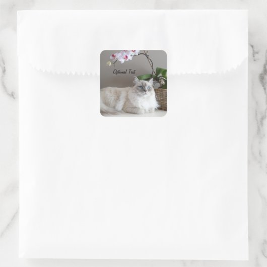 バリ威厳のあるナ猫 スクエアシール (バッグ)