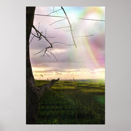 バリ島のフェイルズ ポスター (正面)