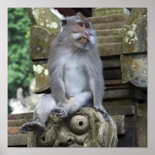 バリ島の彫像に坐っている猿 ポスター