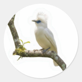 バリ島の貴重な鳥、バリスターlingの文化遺産ステッカー ラウンドシール