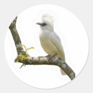 バリ島の貴重な鳥、バリスターlingの文化遺産ステッカー ラウンドシール