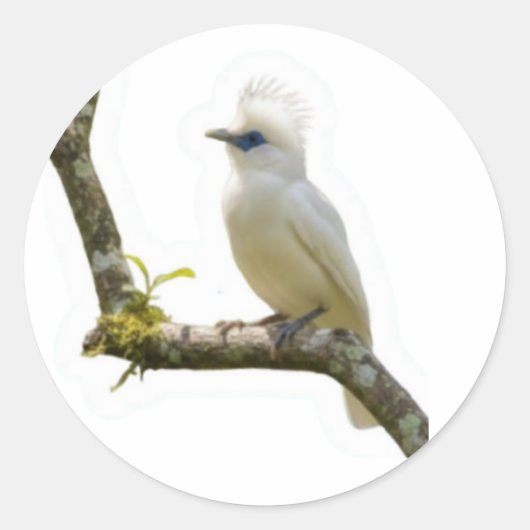 バリ島の貴重な鳥、バリスターlingの文化遺産ステッカー ラウンドシール (正面)