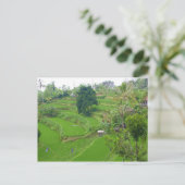 バリ島の風景 ポストカード (スタンド正面)