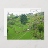 バリ島の風景 ポストカード (正面/裏面)