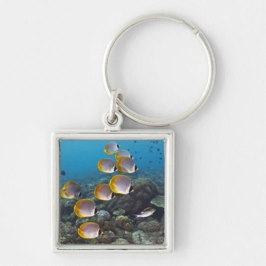 バリ島、インドネシア キーホルダー (正面)