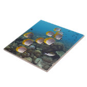 バリ島、インドネシア タイル (側面)