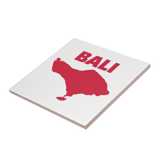 バリ島 タイル (側面)