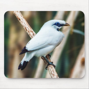 バリ島Mynaの鳥のマウスパッド マウスパッド