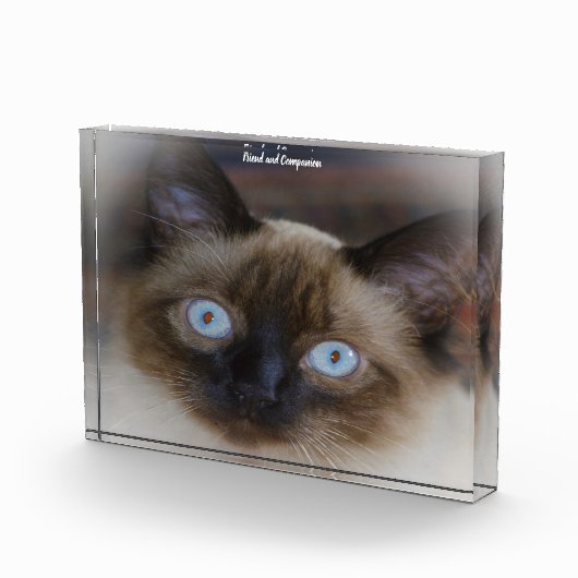 バリ猫 フォトブロック (右)