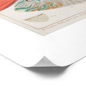 バリ素晴らしアリーフフィッシュinサンゴ，アートプリント ポスター (角)