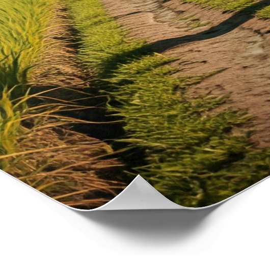 バリ1920 ポスター (角)