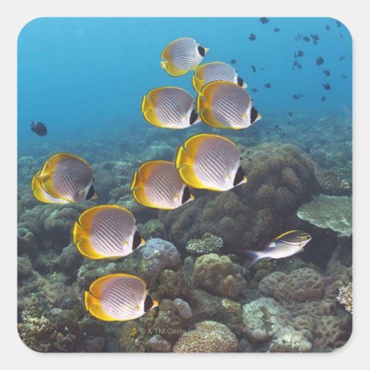 バリ，インドネシア スクエアシール (正面)