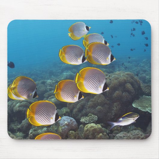 バリ，インドネシア マウスパッド (正面)