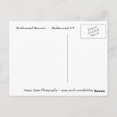 バルカムステッド貯水池 ポストカード (裏面)