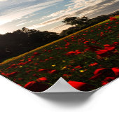 バルカンの歴史 ポスター (角)