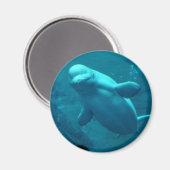 バルガクジラ マグネット (正面/裏面)