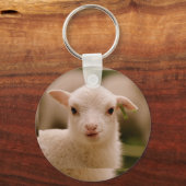 バルコス キーホルダー (裏面)