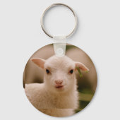 バルコス キーホルダー (裏面)