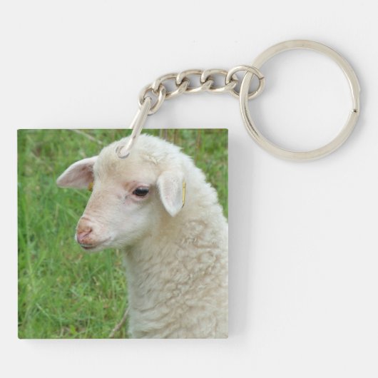 バルコス キーホルダー (裏面)