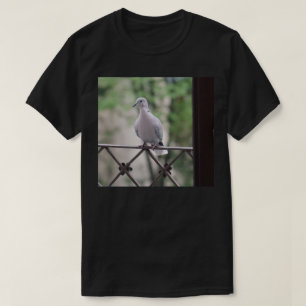 バルコニーでの鳩の鳥の写真撮影ポートレート Tシャツ
