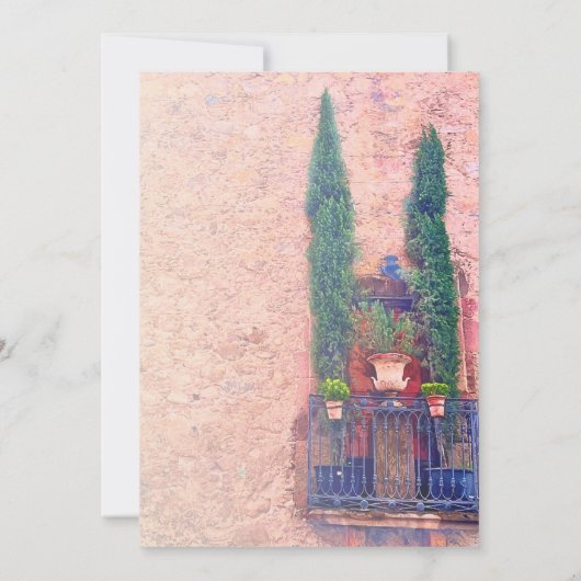 バルコ素朴ニーと植物メキシ結婚コ 招待状 (裏面)