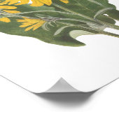 バルサムルート山花 ポスター (角)