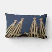 バルセロナランバー装飾用クッション ランバークッション (裏面)