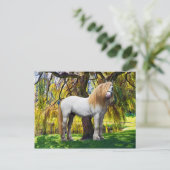 「バルタサー」ポストカード ポストカード (スタンド正面)