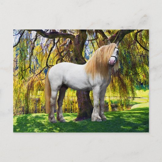 「バルタサー」ポストカード ポストカード (正面)