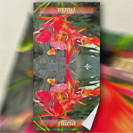 バルタ フレーミング ビューティー 1583 ビーチタオル