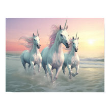 バルダハルの海岸