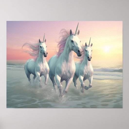 バルダハルの海岸 ポスター (正面)