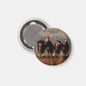 バルチュール四重奏 マグネット (正面/裏面)