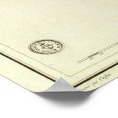 バルディブ ポスター (角)