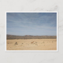 バルデナス・レリーズ（スペイン）