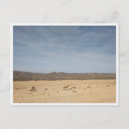 バルデナス・レリーズ（スペイン） ポストカード