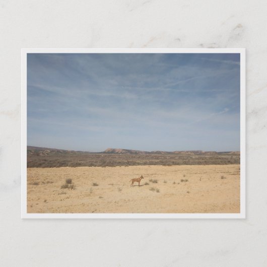 バルデナス・レリーズ（スペイン） ポストカード (正面)