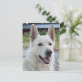 バルトはがき ポストカード (スタンド正面)