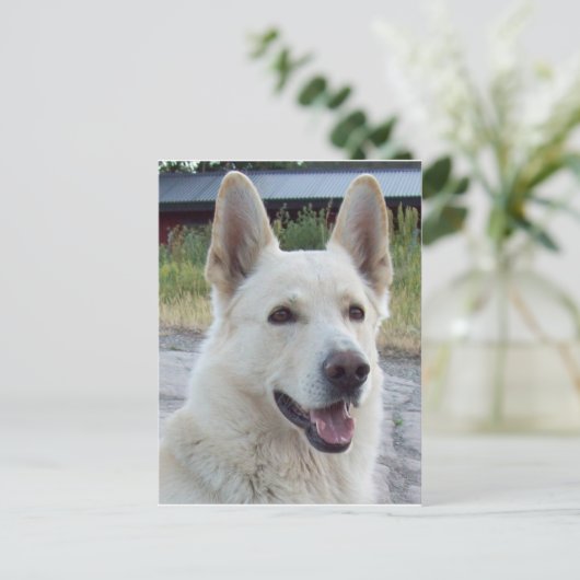 バルトはがき ポストカード (スタンド正面)