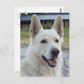 バルトはがき ポストカード (正面/裏面)