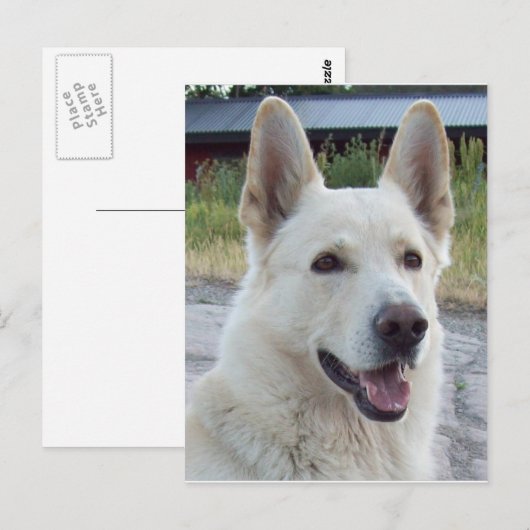 バルトはがき ポストカード (正面/裏面)