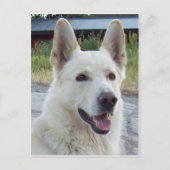 バルトはがき ポストカード (正面)