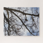 バルトイーグルジグソーパズル ジグソーパズル (横)