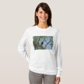 バルトイーグルスマイル Tシャツ (正面フル)