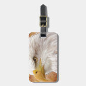 バルトイーグルポートレート ラゲッジタグ (正面縦)