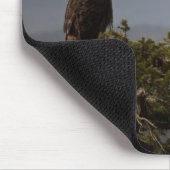 バルトイーグル – マウスパッド (コーナー)