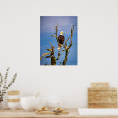 バルトイーグル、南ガルフ諸島、紀元前 ポスター (キッチン)