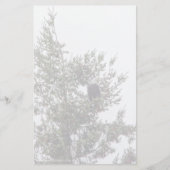 バルトイーグルP2825 (正面)