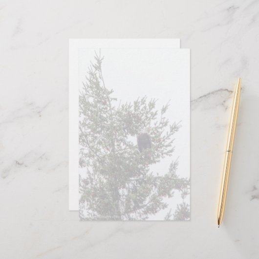 バルトイーグルP2825 (正面/裏面インサイチュ)